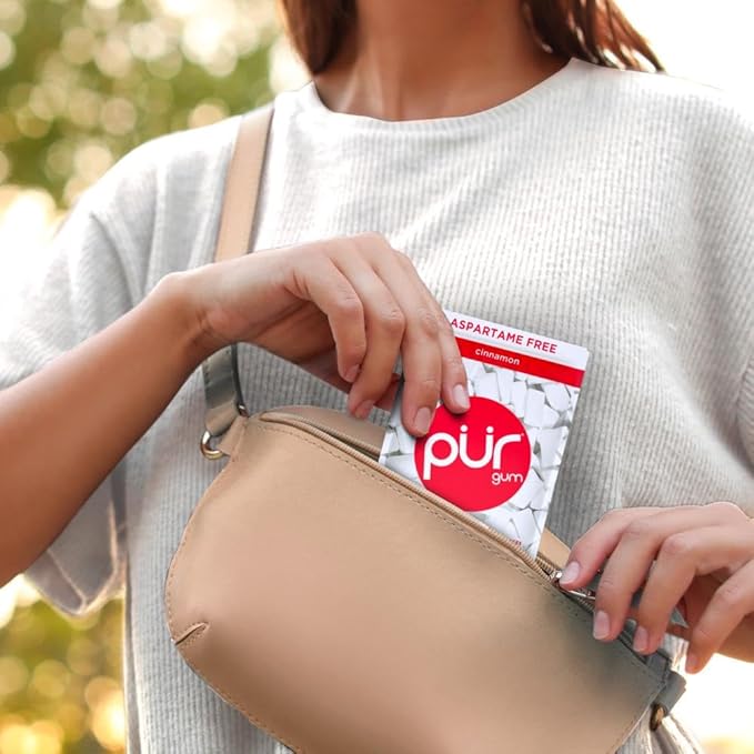 PUR Gum | Aspartame Free Chewing Gum | 100% Xylitol | Natural Cinnamon Flavored Gum, 55 Pieces (Pack of 6)