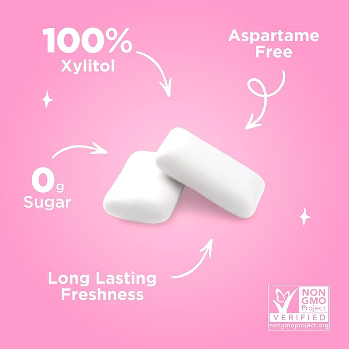 PUR Gum | Aspartame Free Chewing Gum | 100% Xylitol | Natural Bubblegum Flavored Gum, 55 Pieces (Pack of 12)