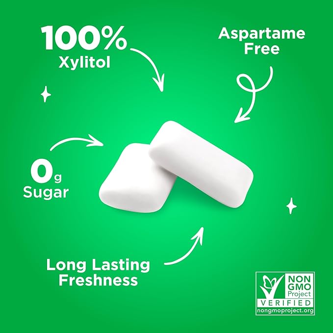 PUR Gum | Aspartame Free Chewing Gum | 100% Xylitol | Natural Spearmint Flavored Gum, 55 Pieces (Pack of 6)
