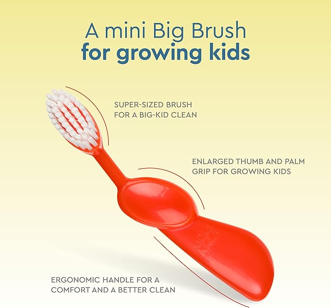 RADIUS Children's Toothbrush, Kids Brush, Extra Soft Bristles, Right Handed, Green/Blue/Orange, BPA Free & ADA Accepted, Designed to Clean Delicate Teeth & Gums for Children 6 Years & Up, Pack of 3