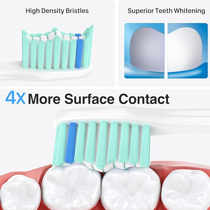Replacement Toothbrush Heads for Philips Sonicare Replacement Heads E-Series, Essence, Xtreme, Electric Replacement Brush Head for Phillips Sonicare, for Philips Sonic Care Toothbrush,Green & White