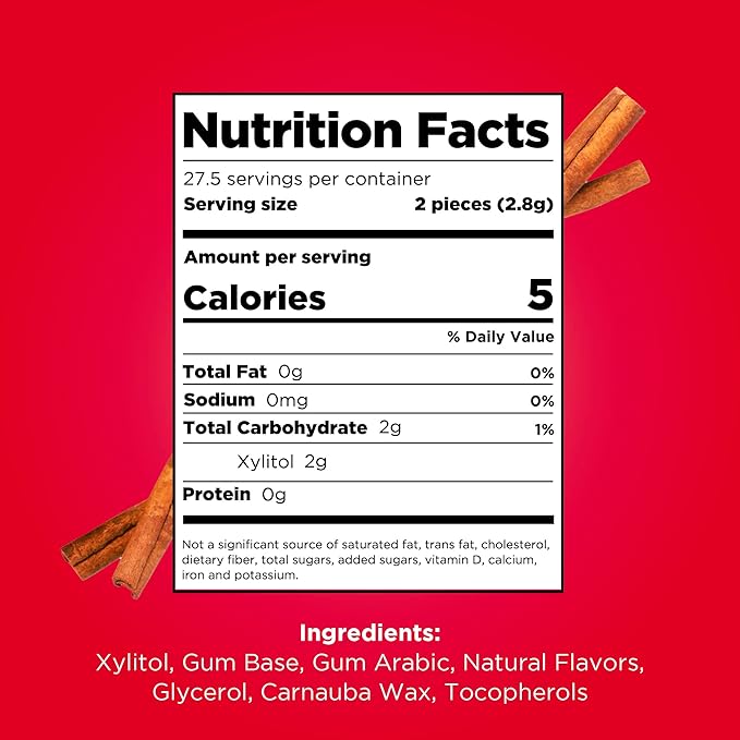 PUR Gum | Aspartame Free Chewing Gum | 100% Xylitol | Natural Cinnamon Flavored Gum, 55 Pieces (Pack of 6)
