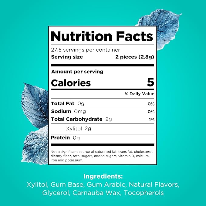 PUR Gum | Aspartame Free Chewing Gum | 100% Xylitol | Natural Wintergreen Flavored Gum, 55 Pieces (Pack of 3)