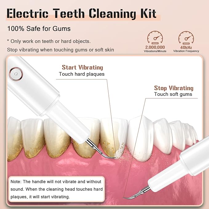 Plaque Remover for Teeth, Electric Tooth Cleaner Tartar Remover for Teeth with LED Light,4 Modes Rechargeable Teeth Cleaning Kit with Dental Tools, 2 Replaceable Heads (White A)