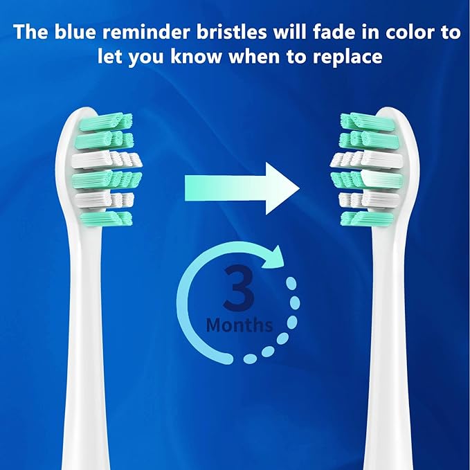 Replacement Toothbrush Heads for Philips Sonicare C2 Replacement Heads 10 Pack Vivena