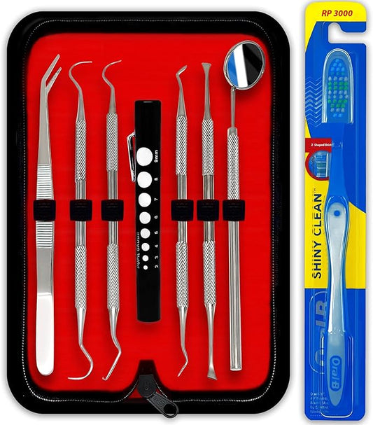 Professional Dental Hygiene Kit - Stainless Steel Tartar Remover, Tooth Scraper, Pick Scaler, Penlight, Toothbrush, and Case