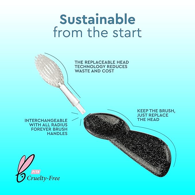 RADIUS Big Brush with Replaceable Head BPA Free & ADA Accepted Toothbrush Designed to Improve Gum Health & Reduce Gum Issues - Right Hand - Purple/Sea Shell/Midnight Sky - Pack of 3