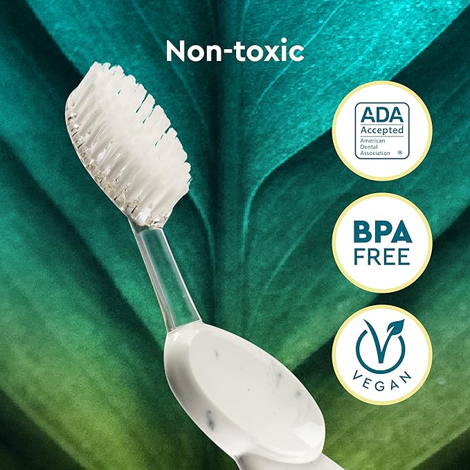 RADIUS Big Brush with Replaceable Head BPA Free & ADA Accepted Toothbrush Designed to Improve Gum Health & Reduce Gum Issues - Right Hand - Purple/Sea Shell/Midnight Sky - Pack of 3