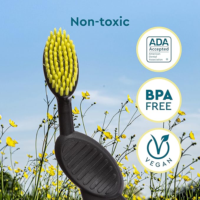 RADIUS Flex Brush with Soft Bristles Toothbrush BPA Free & ADA Accepted Designed to Improve Gum Health & Reduce Issues - Right Hand - Assorted - Pack of 6