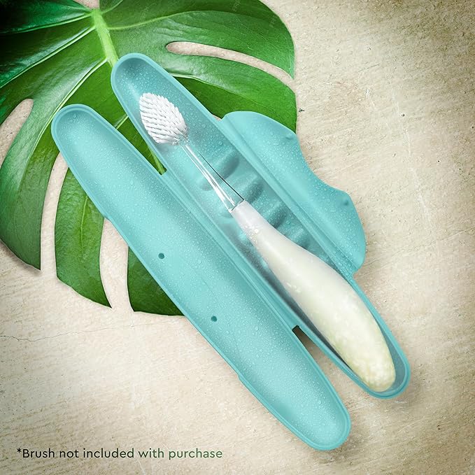 RADIUS Toothbrush Travel Case for Standard Brush, BPA-Free Recycled Plastic, Portable for Bathroom, School, Home, Camping - Mint (FITS ALL CONVENTIONAL TOOTHBRUSH SOURCE TOOTHBRUSH)